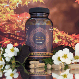 GYÐJA - Lífskraftur